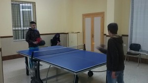 ping-pong